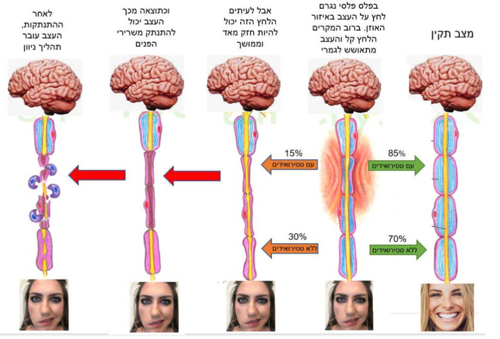 דרגות של פגיעה בעצב וסיכויי ההחלמה